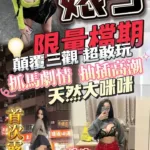 台中定點茶-婊子