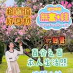 台南定點茶-洗頭小妹