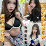 雲林定點茶-藍莓