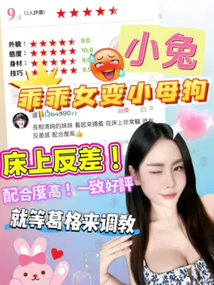 桃園定點茶-小兔