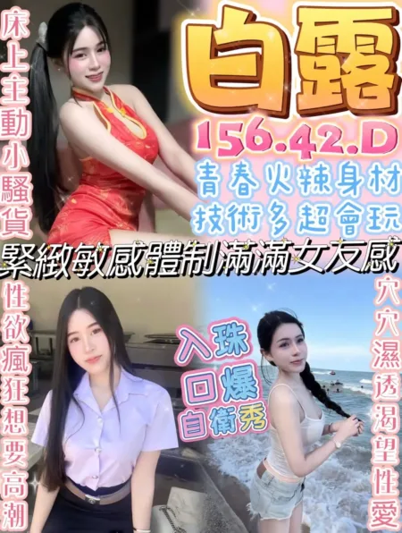南投定點茶-白露