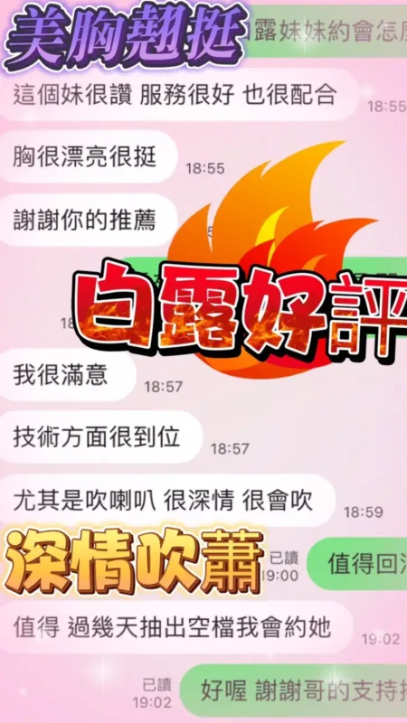 南投定點茶-白露
