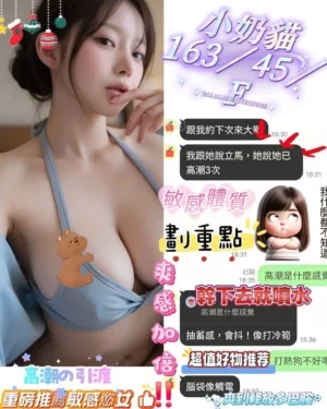 台南定點茶-小奶貓