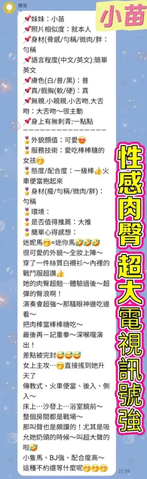 新北定點茶-小苗