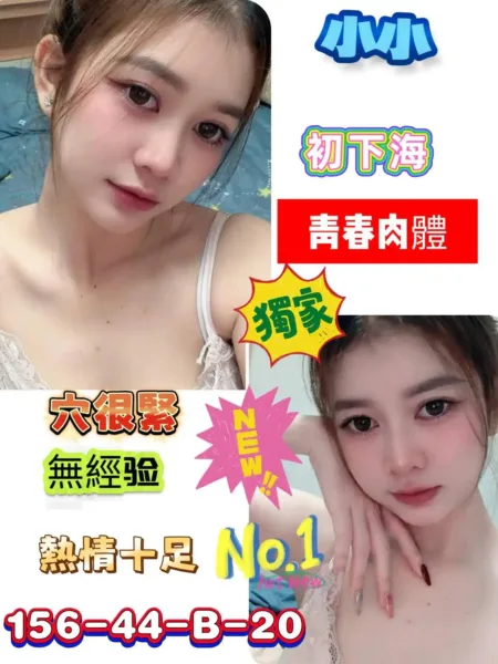 台南定點茶-小小