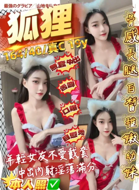 桃園定點茶-狐狸