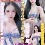 台中定點茶-孫芸芸