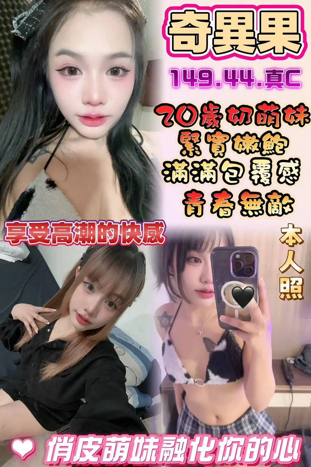 雲林定點茶-奇異果 雲林定點茶-奇異果